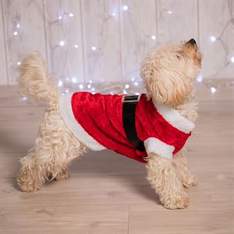 Dress your dog as Santa this year. Includes Red body, White bands to neck, back and legs and Black belt with buckle